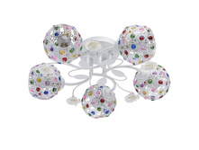 262016505 2600�.jpg