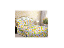 ��� ���� 504, �������.jpg