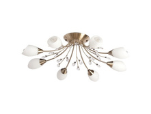 356015308 4500�.jpg