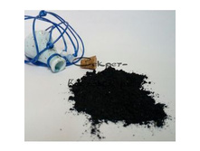 ����� ��� ���� �������� ���������� ޣ���� �������� � ������������ ���������� Gazala Leil 8� 590�