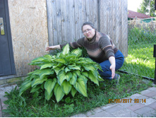 IMG 0800.JPG