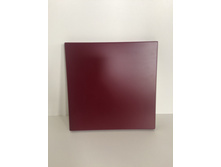 IMG 1390-31-01-18-20-46.JPG