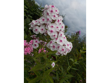 ������������ *)