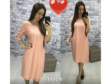 ������ 01004v