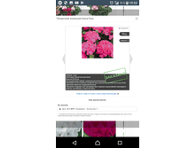 Screenshot 20180220-195239.png