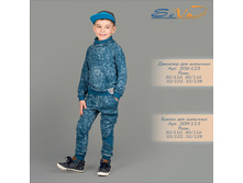 ����� ��� �������� �������: 209-113