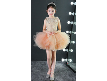 ������ ���������� ����