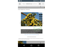 Screenshot 20180221-100918.png