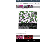 Screenshot 20180220-195404.png
