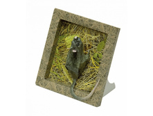 ������������� ����� " �����". ��������: ������.