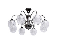 297013208 6800�.jpg