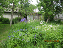IMG 0774.JPG