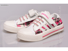 ���� ����� 33�