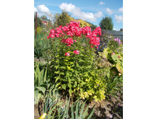 ����-���� *)