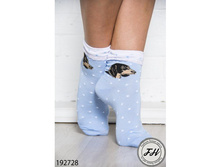 ����� 192728 ����: 49 RUB ������� / ���: 192728