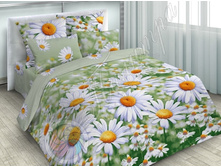 ��� ���� 312 -����.jpg