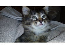 IMG 20180106 172247.jpg