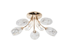 267013905 1700�.jpg