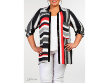 ������ 2704101-02.jpg