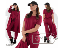 ������ X8019