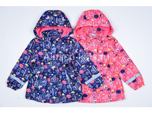 1000��� ���102511.jpg