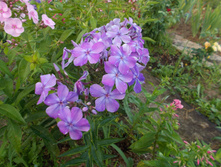 �������� �������� *)