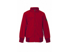 �������� BK608-001 GARNET.jpg