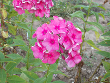 ���� ��������*)