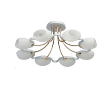 324012708 6600�.jpg