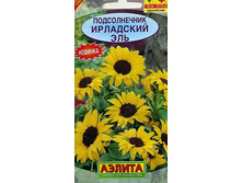 ������������ ���������� ���