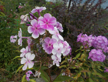 ����̣� *)