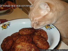 ��� ������������� � ��������