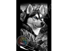 ��������� �������� 007.jpg