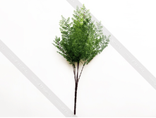 ���������� c �������� �������� PAPOROT-13-45-31-M 80�