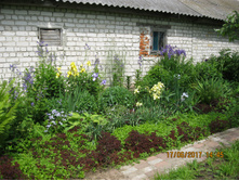 IMG 0756.JPG