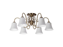 372010806 5900�.jpg