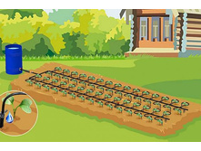 ��������� ����� ��� ������ "��������� ���  4� -1550�