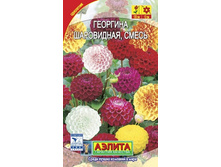 �������� ����������