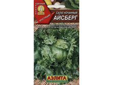 ����� �������� �������