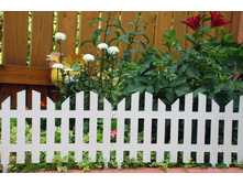 ����� ������������ No4 �����, 255 ��� + �������