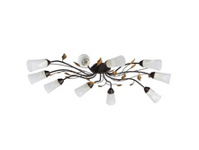 242015410 5000�.jpg