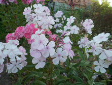 ��������*)