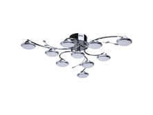 308010910 12000�.jpg