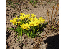 �������� ������ ������