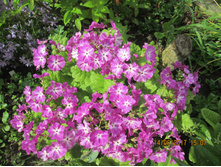 ������� ������������� - 50 ���