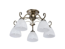 315012905 2000�.jpg