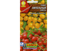 ����� ���������