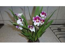 ���������..... ����� ��������� ������ ..)