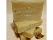 ���� �������� (���� ���������)