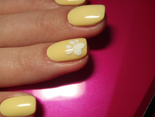 IMG 20171227 195713.jpg